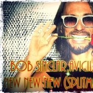 SPLITMAN - Bob Sinclar,Avicii,DJ Cargo - New New New (Splitman Mash Up)