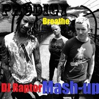 DJ Raptor™ - Prodigy & Marco Vistozi vs. Mistericky - Breathe feat. Party Now (DJ Raptor Mash-up)