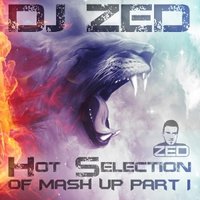 DJ ZeD - Pink Is Punk Vs. Tiga - Ghost You Gonna Want Me (DJ Zed Mashup)