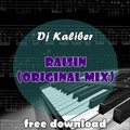 DJ Kaliber - DJ KALIBER - RAISIN (ORIGINAL MIX)