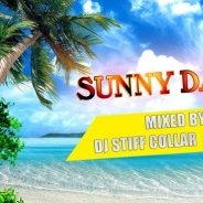 FOIL - DJ STIFF COLLAR & FOIL – SUNNY DAYS