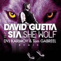 DVJ KARIMOV - David Guetta feat. Sia - She Wolf (DVJ KARIMOV & Tom GABREEL remix)