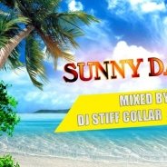DJ STIFF COLLAR - DJ STIFF COLLAR & FOIL - SUNNY DAYS