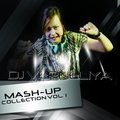 DJ VERNELIYA - sasha lopez ft. Dj Shishkin - all my people (DJ VERNELIYA feat Dj Tima Mash-up)