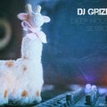 DJ Grizli - DJ Grizli – Deep House Session