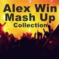 Alex Win - Taylor Swift & Calvo's vs Ingo & Micaele - Shake It Off (Alex Win Mash Up)