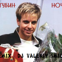 Valeriy Smile - Андрей Губин - Ночь(DJ Valeriy Smile Remix)