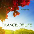 Gert Records - Syn Drome - Trance Of Life