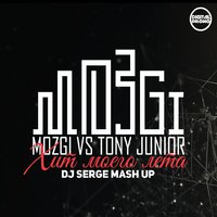 Dj Serge - Mozgi vs Tony Junior-Хит моего лета (Dj Serge mash up)