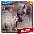 DJ Sunshine - Gus Gus - Arabian Horse (DJ Sunshine & DJ Pink Cream Remix)
