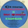 DJ Sonoff - The Course & DJ Borisoff vs Danzel - Aint Pump it Up (DJ Sonoff Mashup)