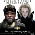 Bryan & Braiton - Will.I.Am feat. Britney Spears – Scream & Shout (DJ Shama Remix)
