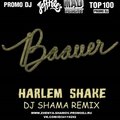 Bryan & Braiton - Baauer – Harlem Shake (DJ Shama Remix)