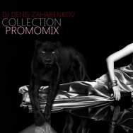 Sad - DJ DENIS ZAHARENKOV-COLLECTION #1
