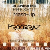 DJ Varin - Sunless vs. Женя Юдина – ProobraZ (DJ Bruno irk. Mash-Up)