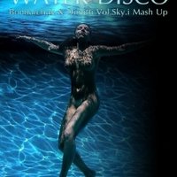 Dimitri Vol.Sky.i - Leon Bolier ft Mark Van Dale - Water Disco (Dimitri Vol.Sky.i & Bondarchuk Mash Up)