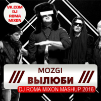 DJ Romerro - Mozgi - Вылюби (Dj Roma Mixon Mashup 2016)