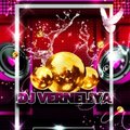 DJ VERNELIYA - Afrojack and Steve Aoki ft.Miss Palmer - No Beef (DJ VERNELIYA Mash-Up)