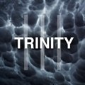MAUT - MAUT – ||| (Trinity) 2013