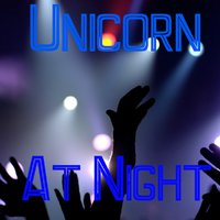 Unicorn - At Night