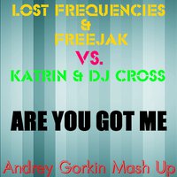 Andrey Gorkin - Lost Frequencies & Freejak vs. Katrin & DJ Cross - Are You Got Me (Andrey Gorkin Mash Up)