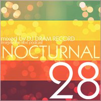 DJ DRAM RECORD - DJ DRAM RECORD - Nocturnal 28