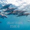 radio show MES - Volodya Budnikov presents - Chillout Sessions episode 09