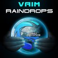 Gert Records - Vaim - Raindrops (Original Mix)
