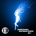 Invisible Brothers - Invisible Brothers - Deep Summer Sessions Vol.1