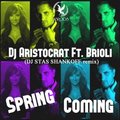 DJ STAS SHANKOFF (Moscow) - Dj Aristocrat Ft. Brioli Spring Coming(DJ STAS SHANKOFF RMX)