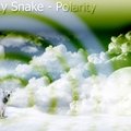 Ricky Snake [Roxville] - Ricky Snake - Polarity (Radio Mix)
