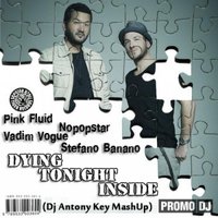 Dj Antony Key - Pink Fluid ft. Vadim Vogue & Stefano Banano vs Nopopstar - Dying Tonight Inside (Dj Antony Key MashUp)