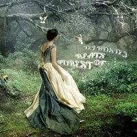 Dj Rostej - Dj Rostej - Beats of Forest (original)