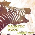 Magnetic Wood - Magnetic Wood - In Deep (Mix)