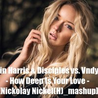 Nikolai Nickel(H) - Calvin Harris & Disciples vs. Vndy Vndy - How Deep Is Your Love  [Nickolay Nickel(H) mashup]