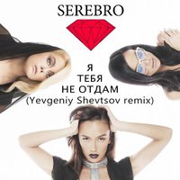 Yevgeniy Shevtsov - Серебро -Я тебя не отдам (Yevgeniy Shevtsov remix)