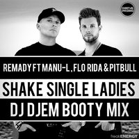 Dj DjeM (Pavel Blanco) - Shake Single Ladies (Dj DjeM Booty Mix)