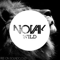Novak - Wild (Original Mix)