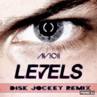 One Sky - Avicii - Levels(Disk Jockey Remix)