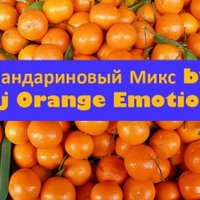 Dj Orange Emotion - Dj Orange Emotion - Мандариновый Микс №3