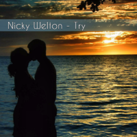 Nicky Welton - Try (Radio mix)