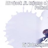 KOLESN1KOV - afrojack .ft.Tujamo & Plastik Funk - Who polkadots (Dj Kolesnikov Mush Up)