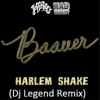 Dj Legend aka Andrey - Baauer - Harlem Shake (Dj Legend Remix)