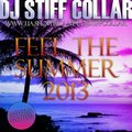 DJ STIFF COLLAR - FEEL THE SUMMER 2013