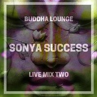 DJ SONYA SUCCESS - DJ SONYA SUCCESS Buddha lounge LIVE MIX part II