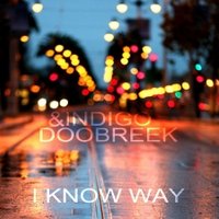 DOOBREEK - INDIGO & DOOBREEK - I KNOW WAY [FREE 320]