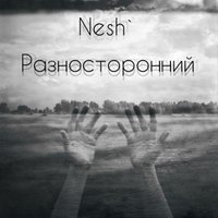 Nesh` - Разносторонний