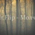 Mr.Flip - Mr.Flip - Молча (Project 