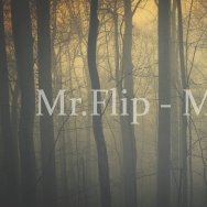 Mr.Flip - Mr.Flip - Молча (Project 