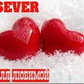 SEVER - Sever-Для любимой